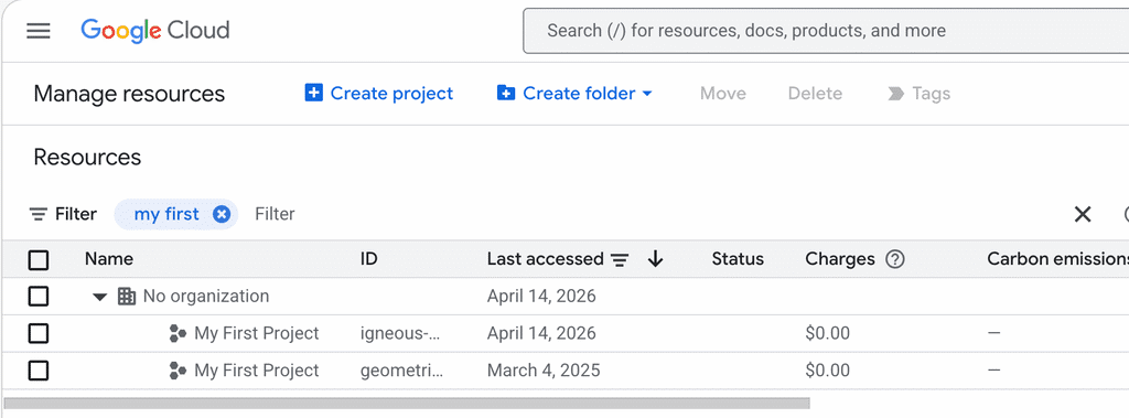 google project names