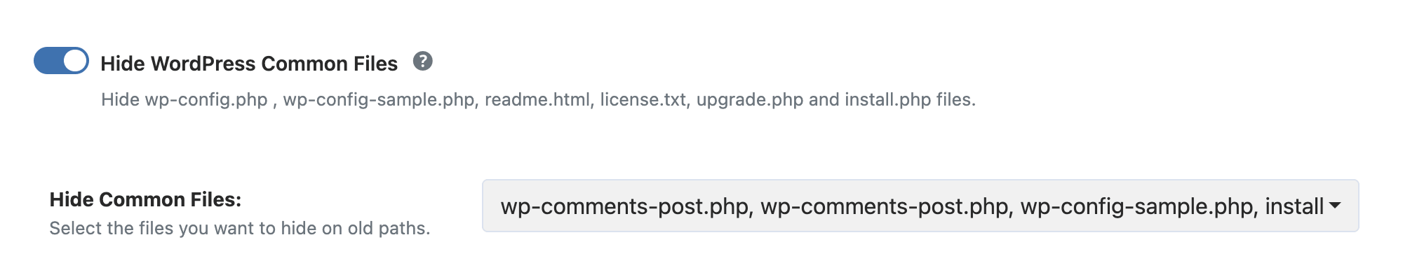 WP Ghost toggle to hide the old WordPress themes path after renaming