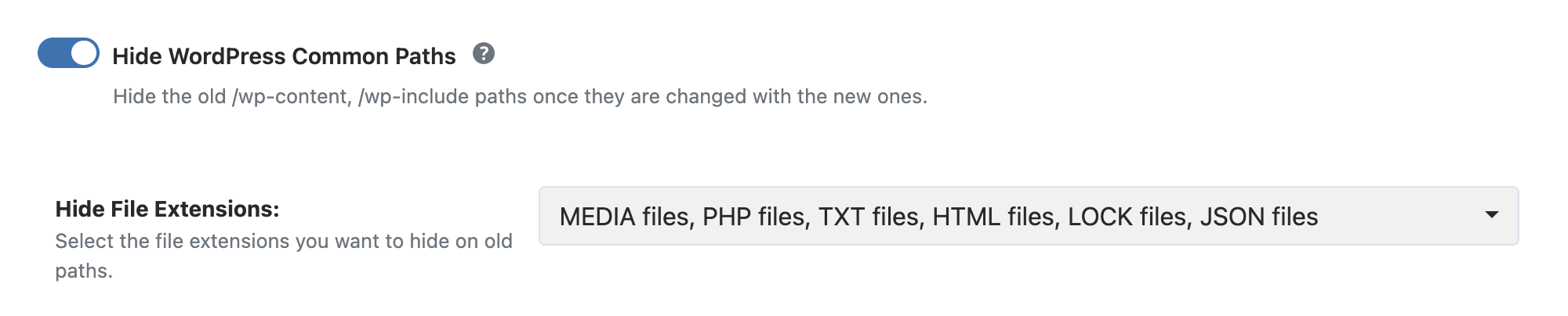 WP Ghost toggle to hide the old WordPress plugins path after renaming