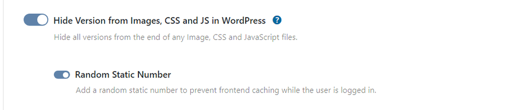 WP Ghost toggle to hide version numbers from CSS, JS, and image files