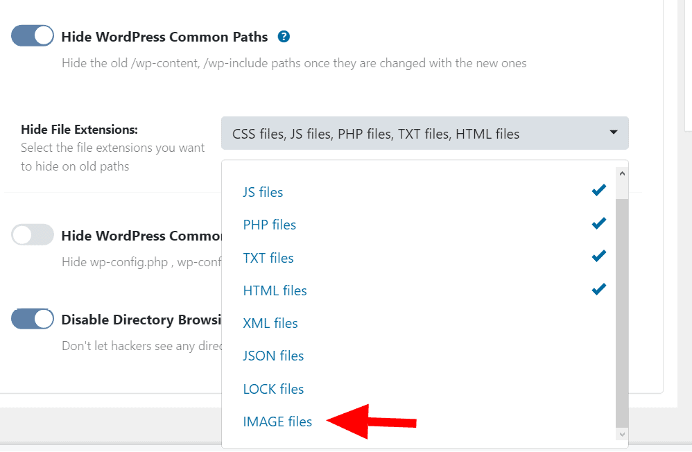 Hide File Extensions list in WP Ghost showing the IMAGE Files option after enabling the wp-config constant