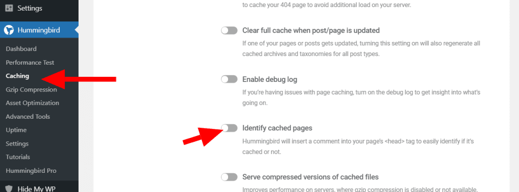 WP Ghost Change Paths in Cached Files setting enabled for Hummingbird compatibility