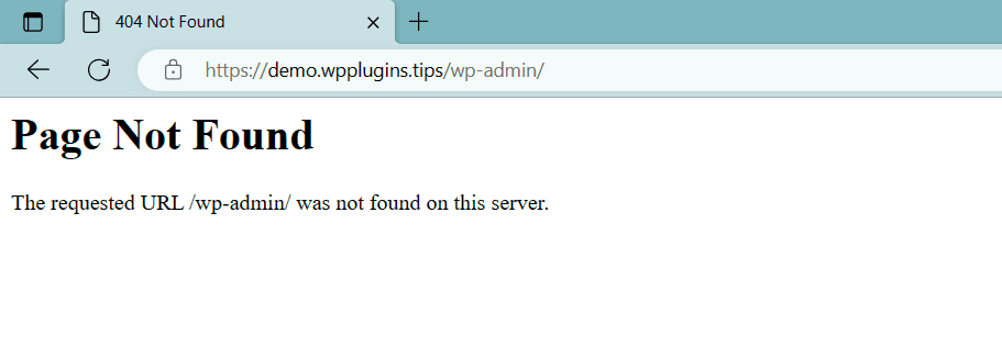 404 Not Found error shown when a visitor tries to access the hidden wp-admin path