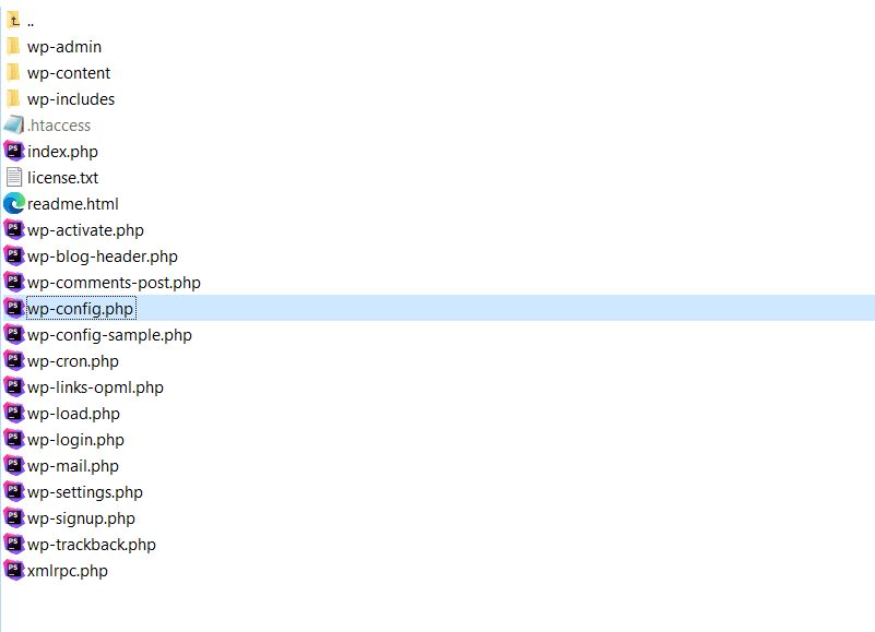 Adding the hmwp_config_file filter to wp-config.php for custom Nginx config path