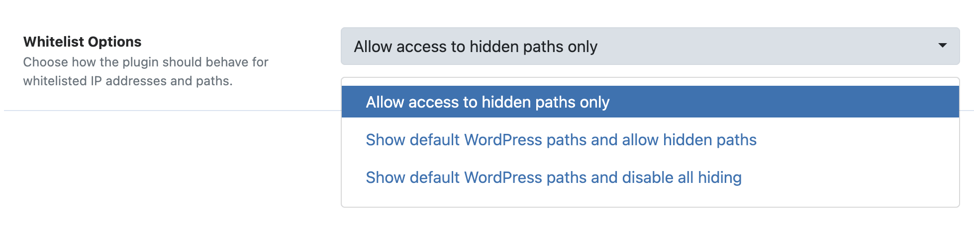 WP Ghost Whitelist Level selection showing three access levels for whitelisted IPs