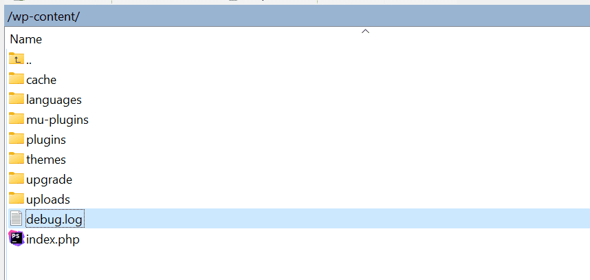 WordPress debug.log file in wp-content directory showing logged PHP errors and warnings