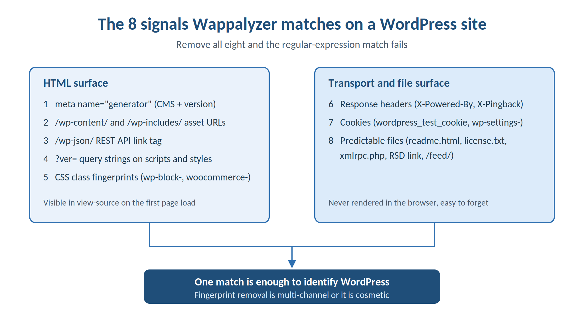 Diagram of the eight signals Wappalyzer matches to identify WordPress, split into HTML surface and transport and file surface